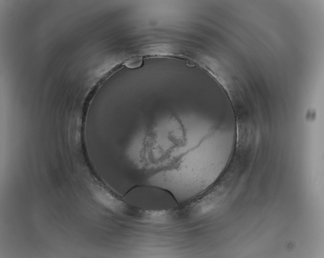 X0000094790301200711161440