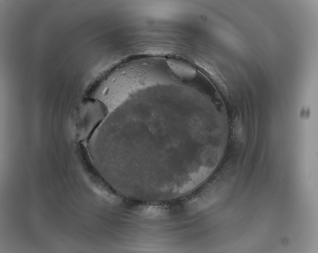 X0000094790303200711161440