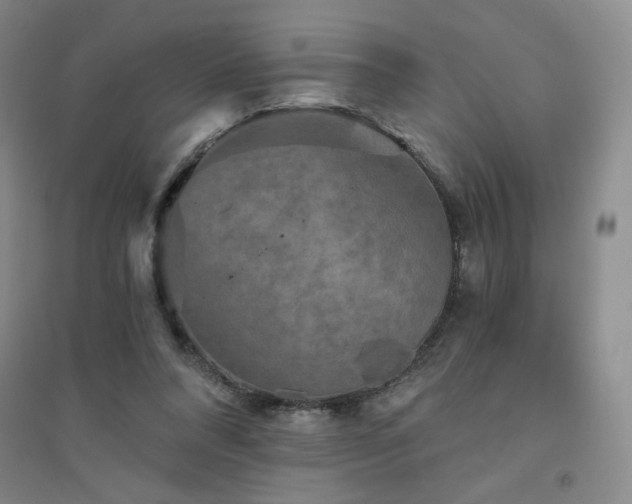 X0000094790304200711161440