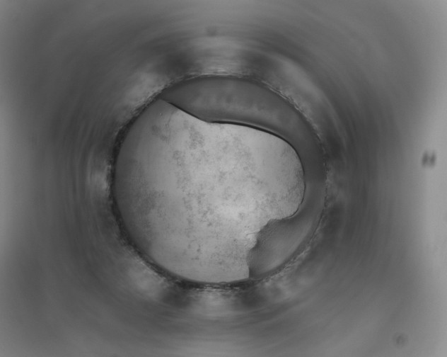 X0000094790305200711161440