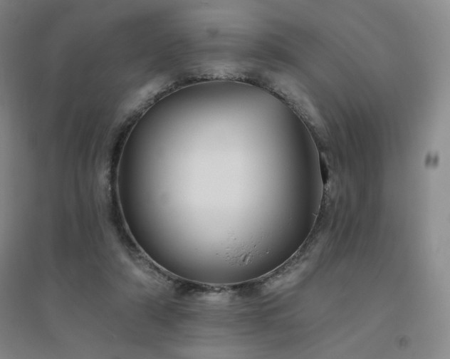 X0000094790306200711161440