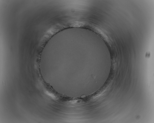 X0000094790307200711161440