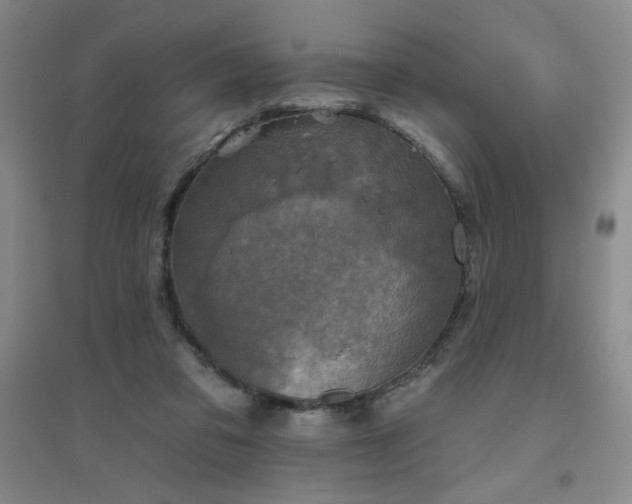 X0000094790309200711161440