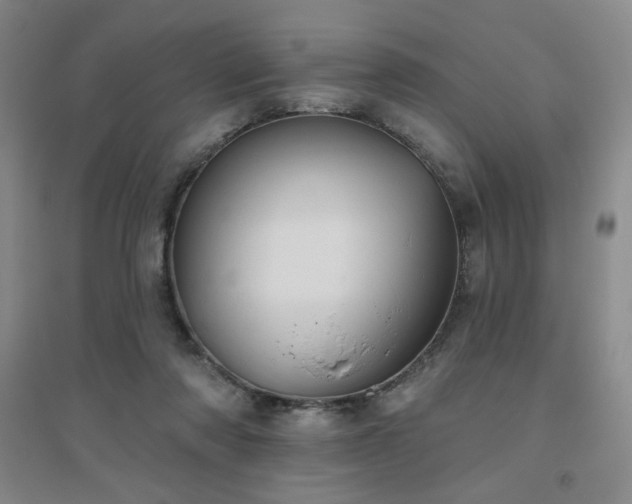 X0000094790310200711161440