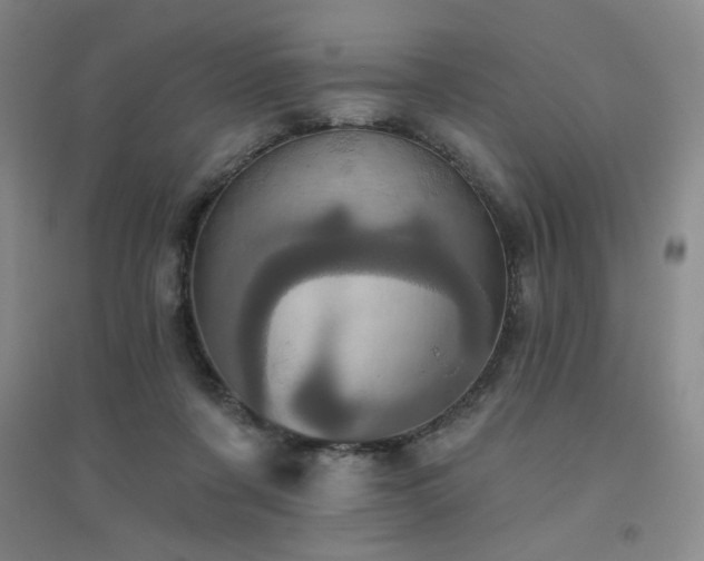 X0000094790311200711161440