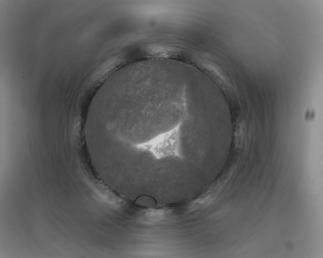 X0000094790314200711161440