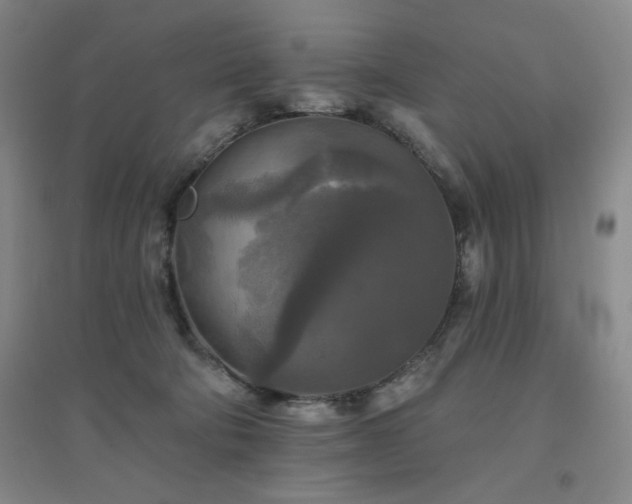 X0000094790322200711161440