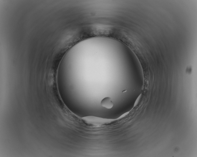 X0000094790323200711161440