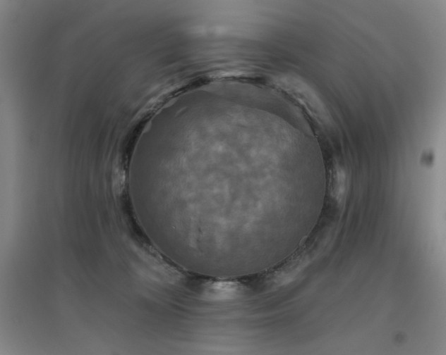 X0000094790324200711161440