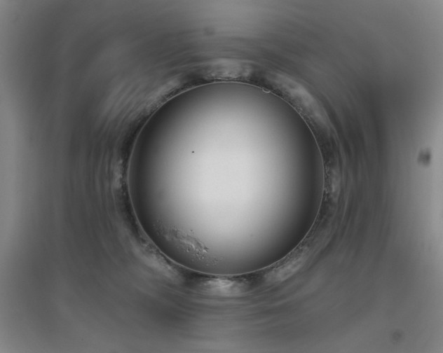 X0000094790326200711161440