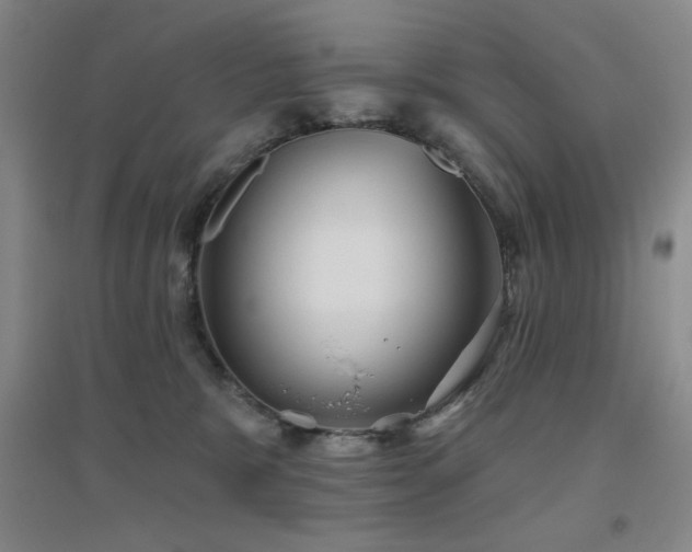 X0000094790327200711161440