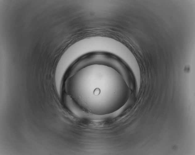 X0000094790328200711161440