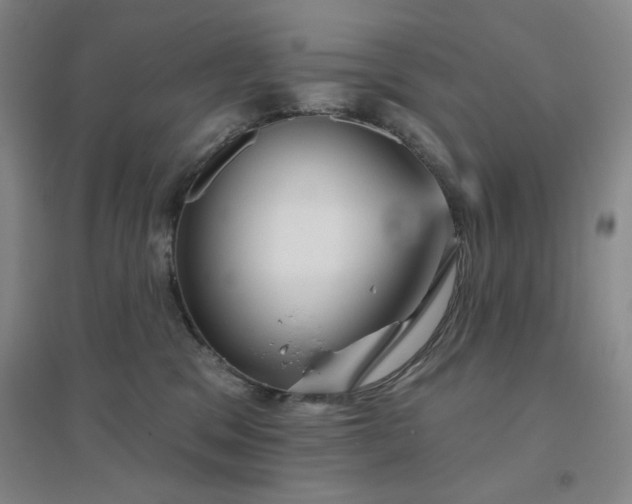 X0000094790329200711161439