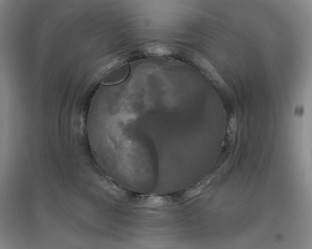 X0000094790330200711161439