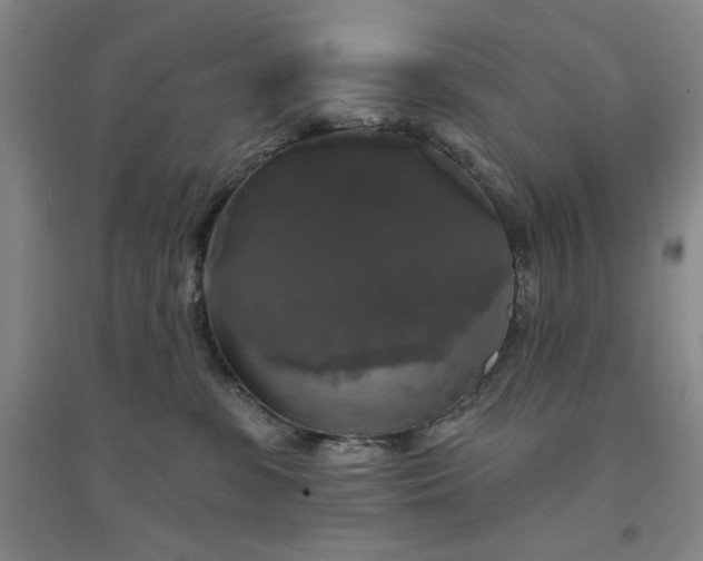 X0000094790331200711161439