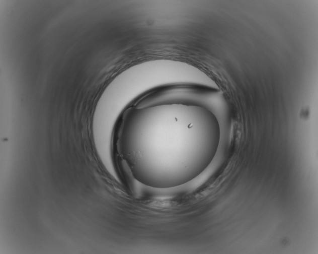 X0000094790332200711161439