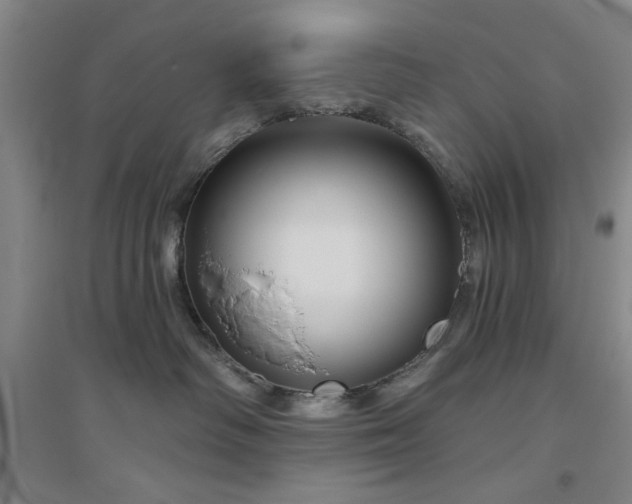 X0000094790334200711161439