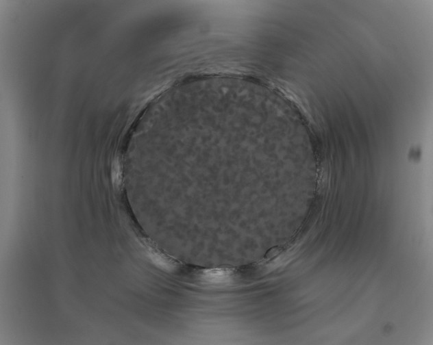 X0000094790335200711161439