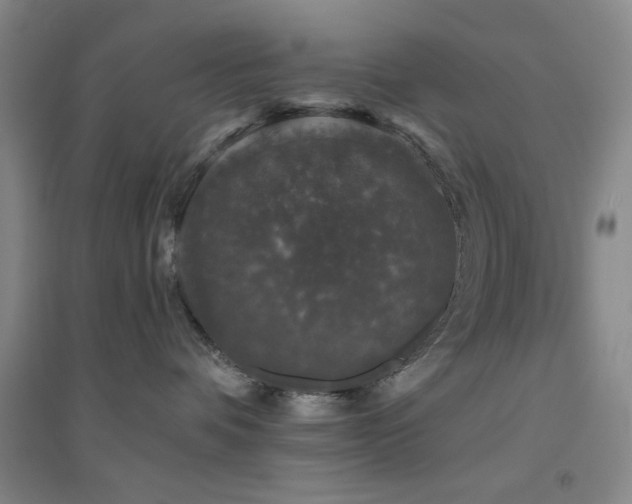 X0000094790336200711161439