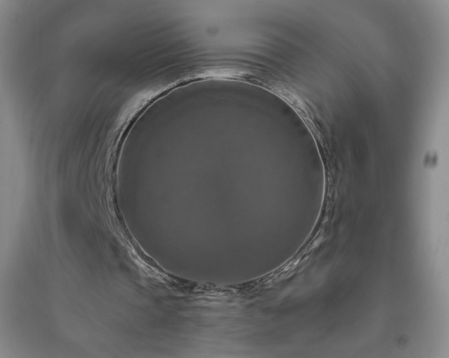 X0000094790337200711161439