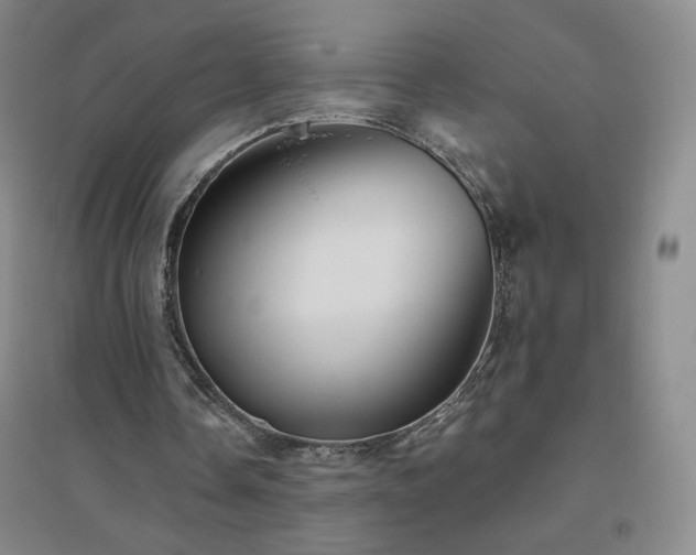 X0000094790338200711161439