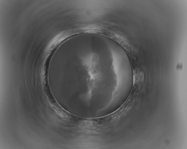 X0000094790339200711161439