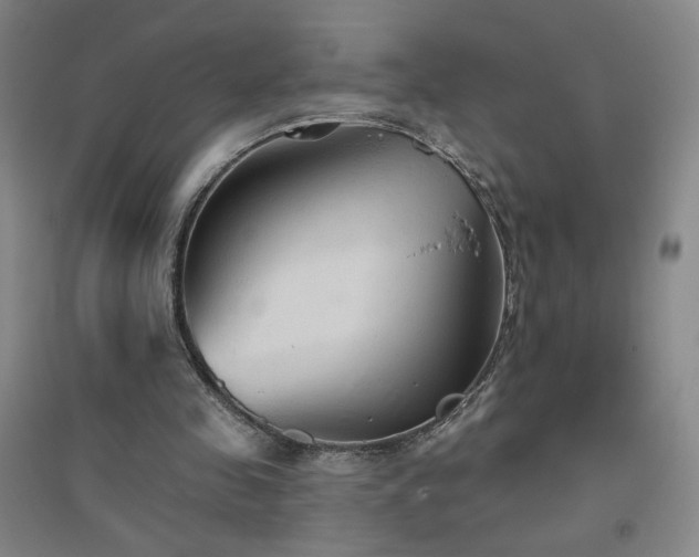 X0000094790341200711161439