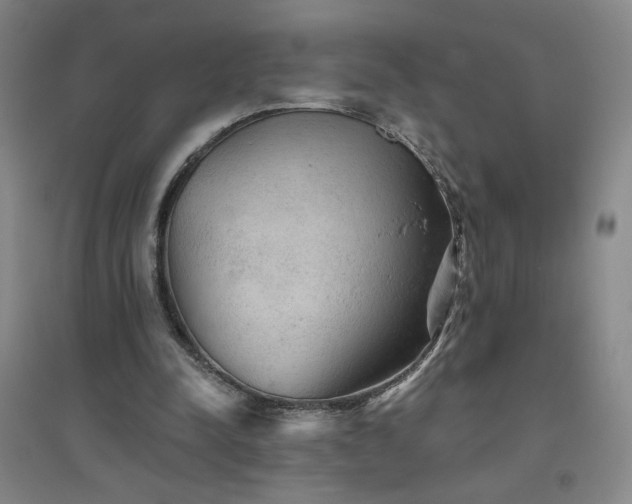 X0000094790342200711161439