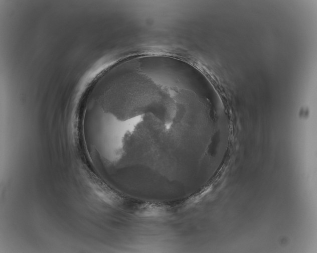 X0000094790343200711161439