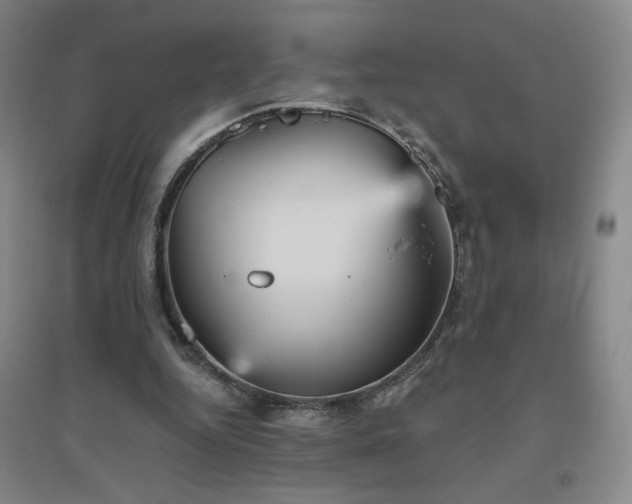 X0000094790344200711161439