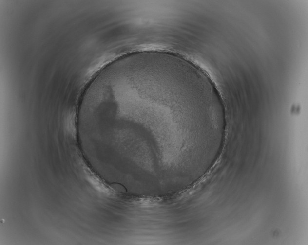 X0000094790345200711161439