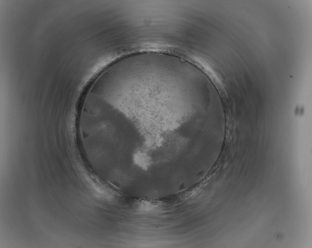 X0000094790346200711161439