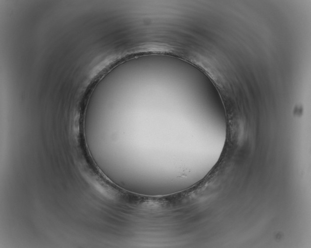 X0000094790350200711161439