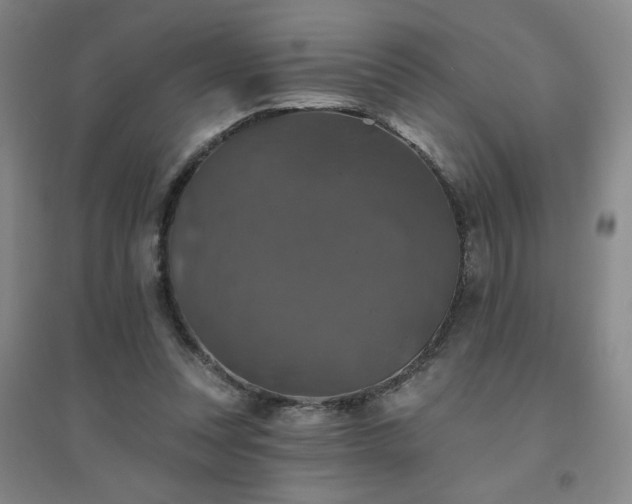 X0000094790351200711161439