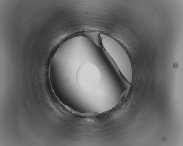 X0000094790352200711161439