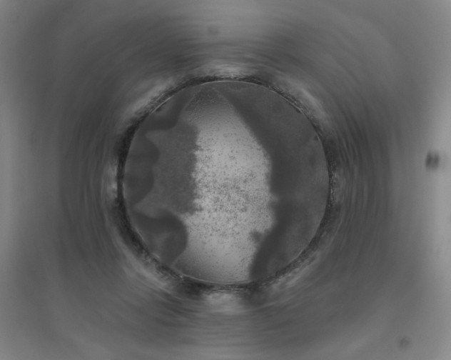 X0000094790358200711161439