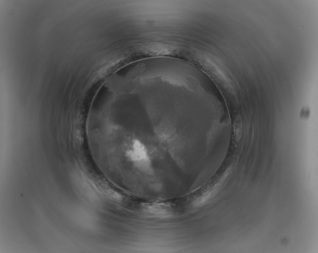 X0000094790359200711161439