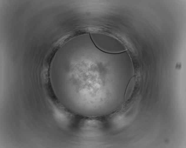 X0000094790360200711161439