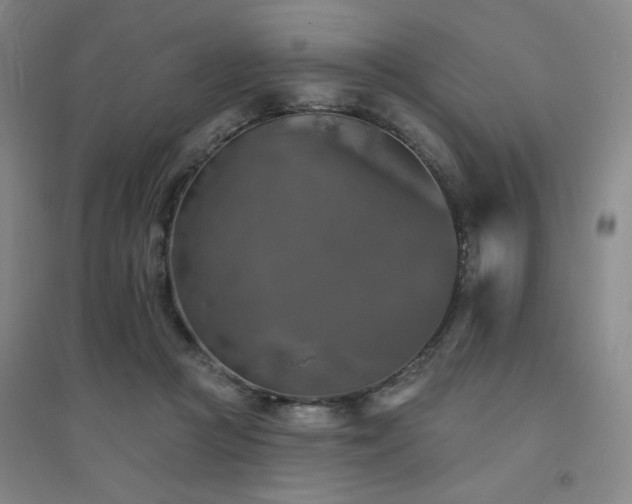 X0000094790361200711161439