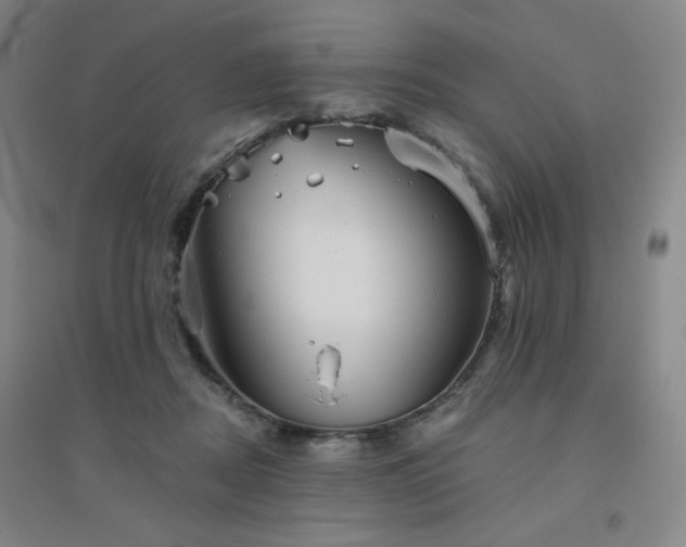 X0000094790362200711161439