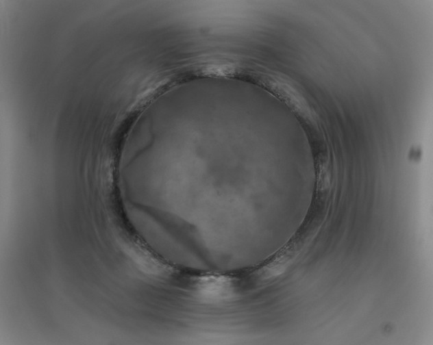 X0000094790363200711161439