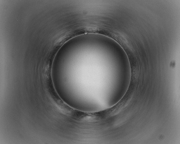 X0000094790364200711161439