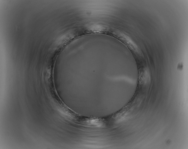 X0000094790365200711161439