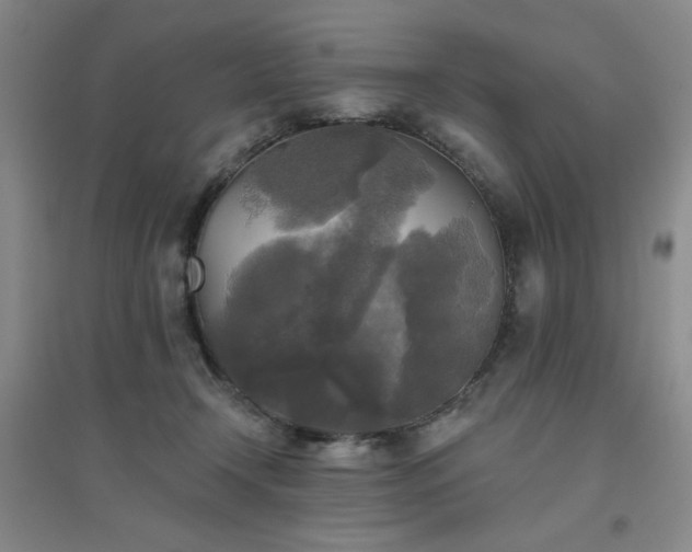 X0000094790366200711161439