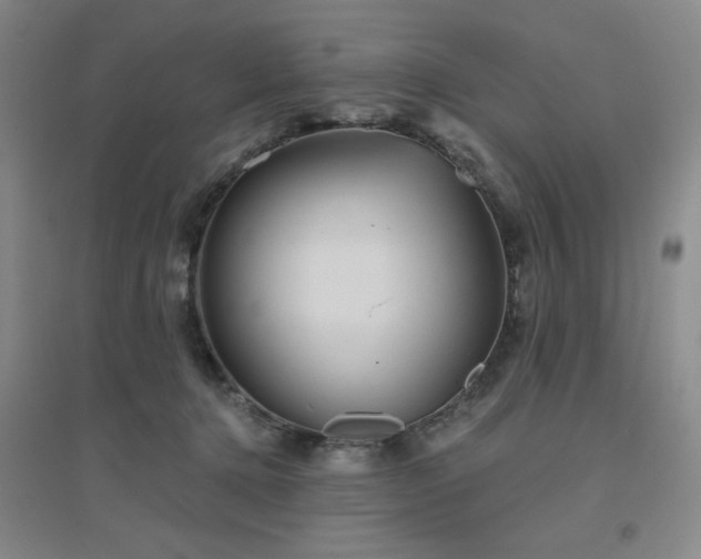 X0000094790368200711161439