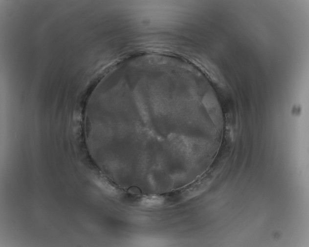 X0000094790369200711161439