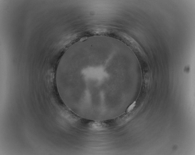 X0000094790372200711161439