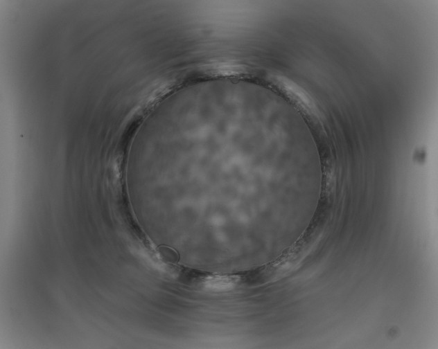 X0000094790373200711161439