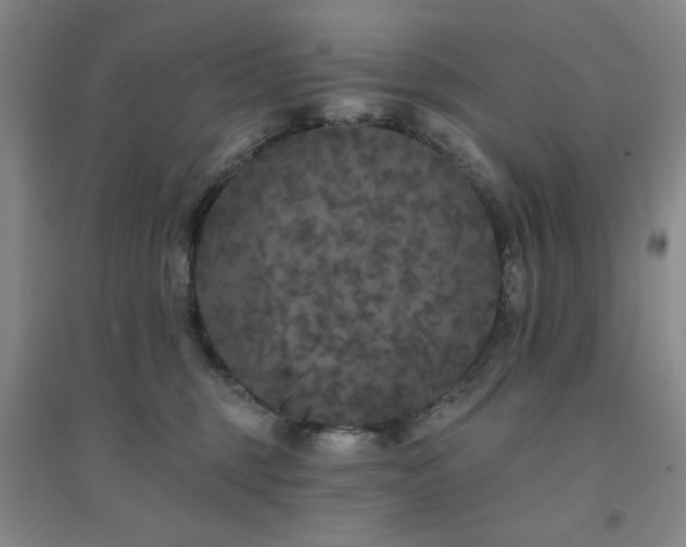 X0000094790375200711161439