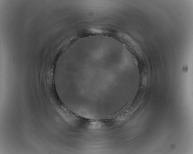 X0000094790376200711161439